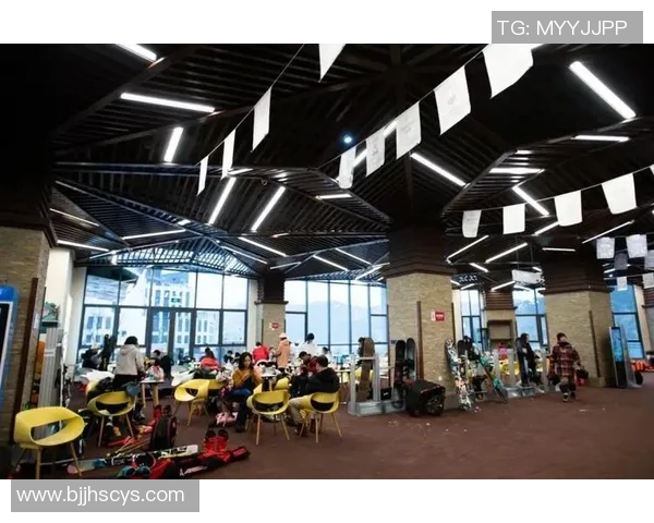 杭州乒乓球队的拼搏历程与荣耀时刻全景回顾