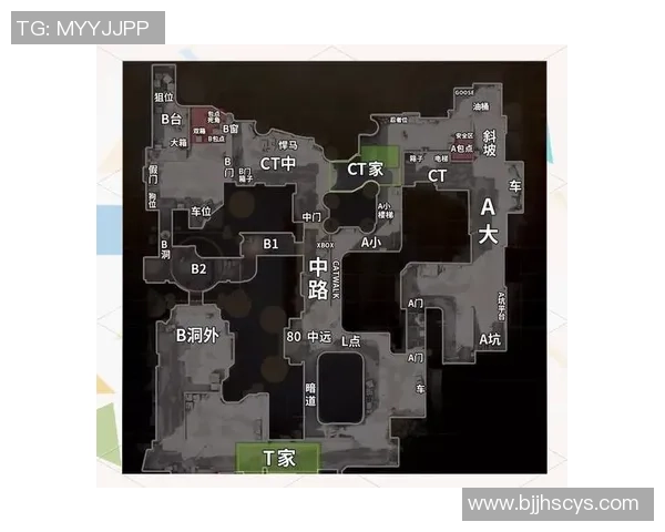 CS_GO新手攻略：团队协作入门指南