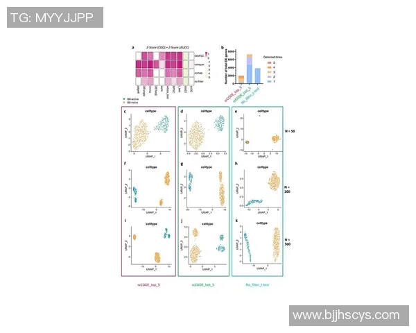 数据分析：北京排球队的团队协作表现