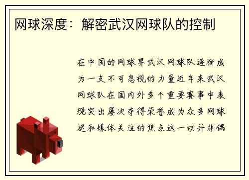 网球深度:解密武汉网球队的控制