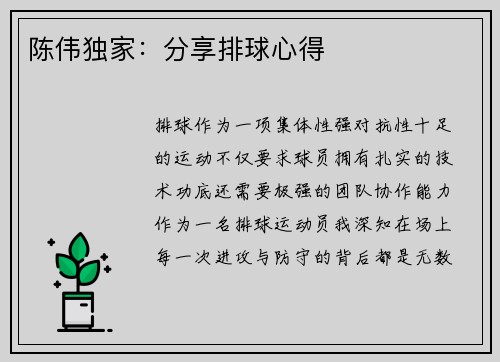 陈伟独家:分享排球心得
